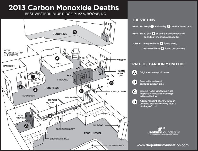 2013 Deaths from Carbon Monoxide 2013 Deaths from Carbon Monoxide